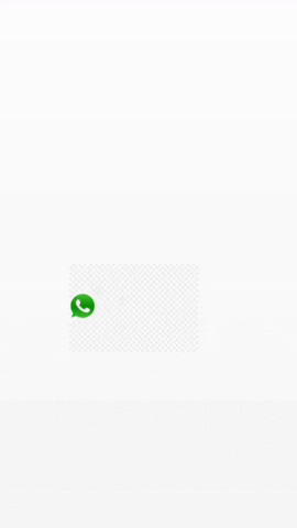 DUOSILVESTRE GIF