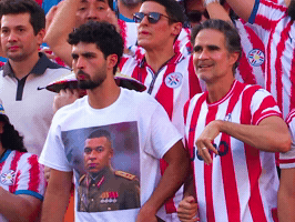 France Fans GIF