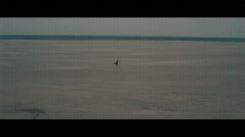 Christopher Nolan GIF