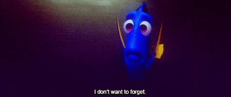 forget finding nemo GIF