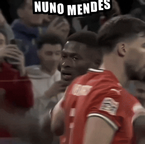 Cristiano Ronaldo Portugal GIF