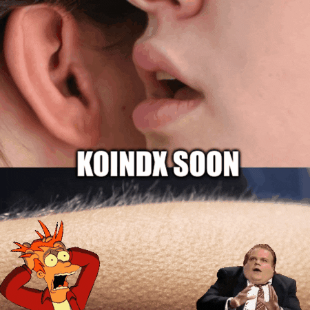 KoinDX meme crypto blockchain soon GIF