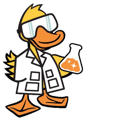 Car Wash Duck Sticker by Quick Quack