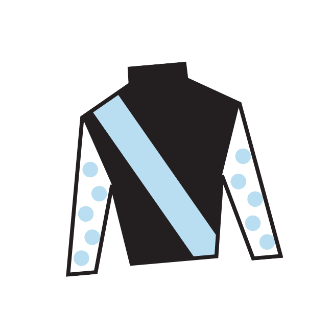 Horse Racing Sticker by Kentucky Derby