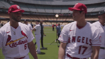 All Star Game Baseball GIF by MLB