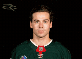 Minnesota Wild GIF by Respective