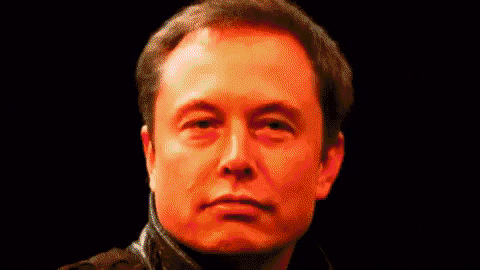 Cryptocurrency Elon Musk Funny GIF by Bitcoin & Crypto Creative Marketing - Find & Share on GIPHY