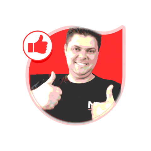 nprcar Sticker