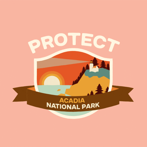 Digital art gif. Inside a shield insignia is a cartoon image of a lighthouse shining its light out across the water from its perch on a cliff. Text above the shield reads, "protect." Text inside a ribbon overlaid over the shield reads, "Acadia National Park," all against a pale pink backdrop.