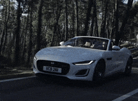 Exhilaration Gifs Get The Best Gif On Giphy Exhilaration Gifs Get The Best Gif On Giphy