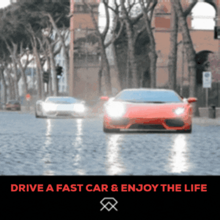 Driving Too Fast GIF by MSD Online Shop