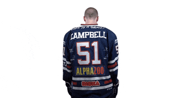 Hockey Campbell GIF by Fehervar AV19