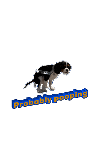 Poop Going Sticker
