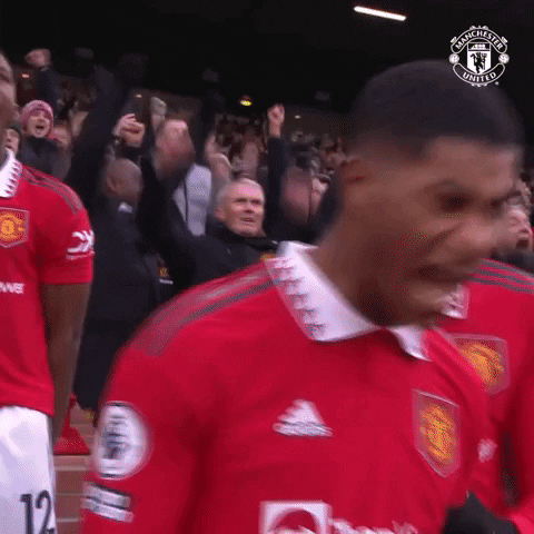 Come On Yes GIF by Manchester United