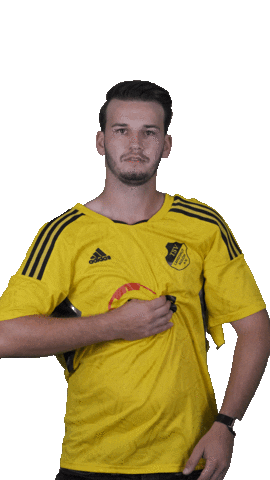 Dance Love Sticker by TSV Landshut-Auloh e.V.