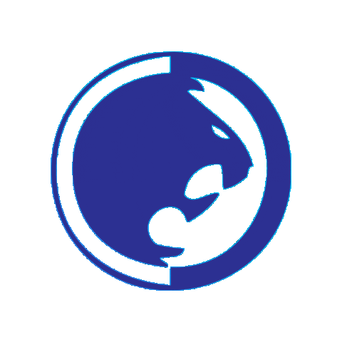 Renzo Gracie Clarksville Sticker