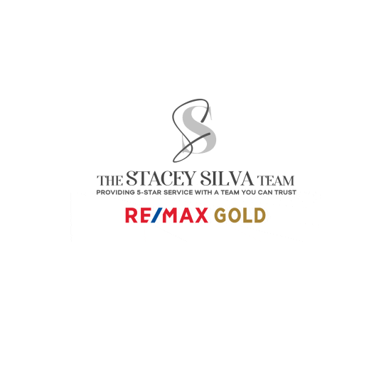 The Stacey Silva Team Sticker