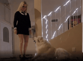 John Wick Girl Dancing GIF