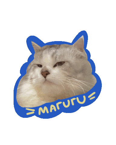 Cat Meow Sticker