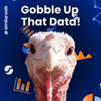 Similarweb-thanksgiving-turkey-similarweb-nu4WZN0zutl6zfcQkN