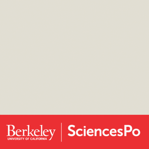 Berkeley Study Abroad GIF