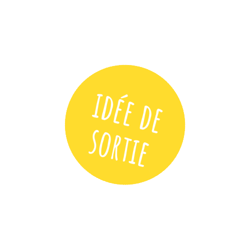 liO Train Occitanie Sticker