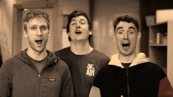 Lord Of The Rings Fah GIF by FoilArmsandHog
