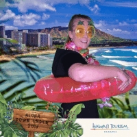 travel hawaii GIF