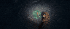 Kantara GIF by Hombale Films
