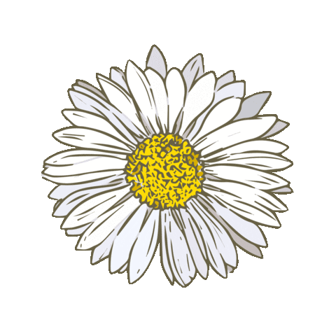 Happy Daisy Flower Sticker by sarokey for iOS & Android | GIPHY