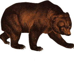 Bear Flamingo Sticker by Binske
