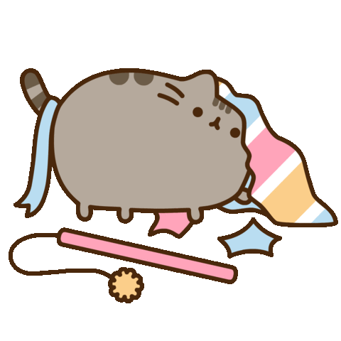 pusheen wrapping paper