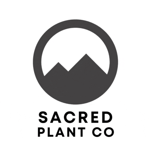 SacredPlantCo sacred plant co plant on mountain GIF