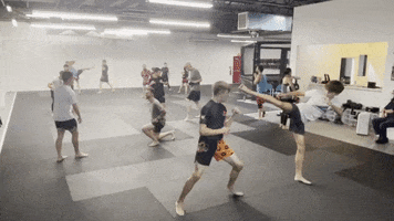 Muay Thai Kickboxing GIF by Droogs MMA and Jiu Jitsu