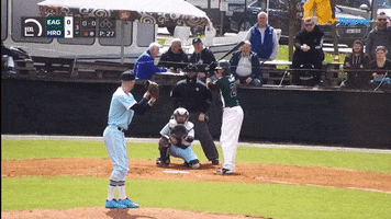 Baseball GIF