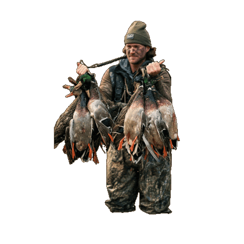 Country Sticker by Riley Green