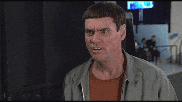 Movie gif. Jim Carrey dressed as Lloyd from Dumb and Dumber yells with an overly exaggerated expression on his face. Text, "That's insane"