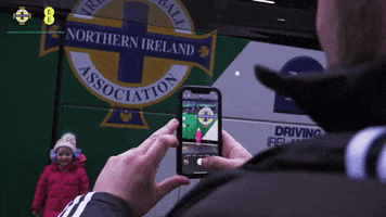 Irish Football Sport GIF by Northern Ireland