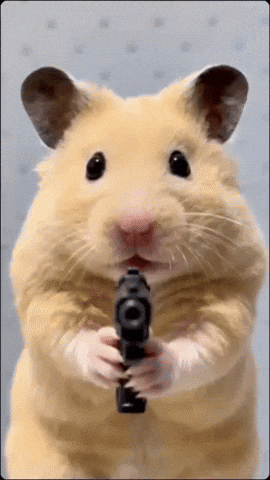 Gun Love GIF