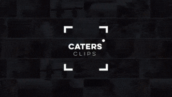 Cmg Caters GIF by catersmediagroup
