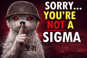 Sorry Youre Not A Sigma GIF