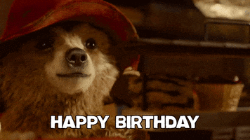 Celebrate Happy Birthday GIF by Paddington Bear