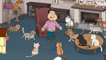 Cats Quagmire GIF by Family Guy