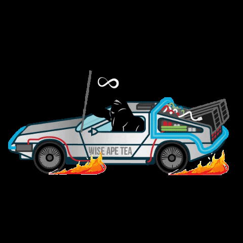 Back To The Future GIF by Wise Ape Tea