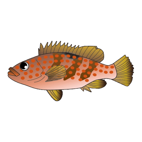 Fish 魚 Sticker by magbite