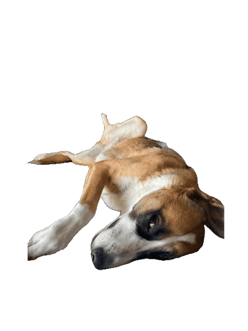 Tired Sticker