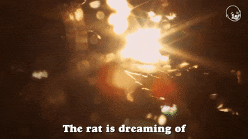 Rat Film GIF by Eternal Family