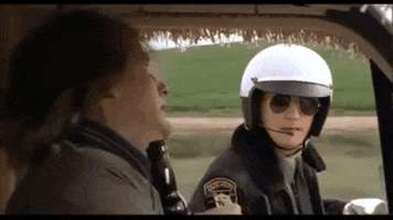 Dumb And Dumber GIF