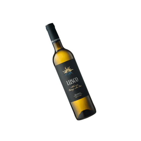 Pazos de Lusco Sticker