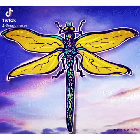 maadmurray animation illustration dragon insect GIF